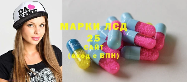дурь Инсар