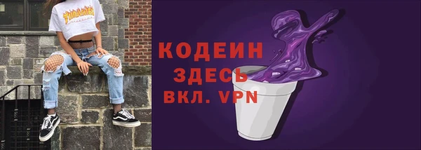 дурь Инсар