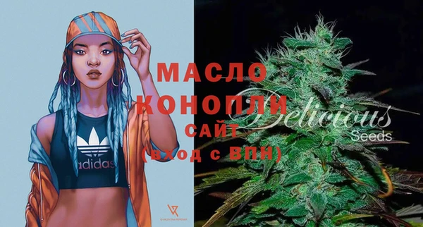гидра Весьегонск