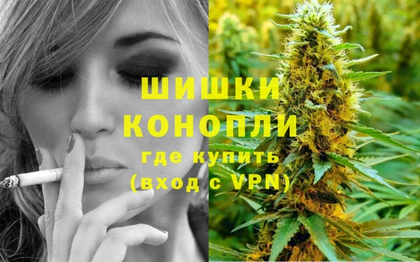 ГАЛЛЮЦИНОГЕННЫЕ ГРИБЫ Зеленокумск