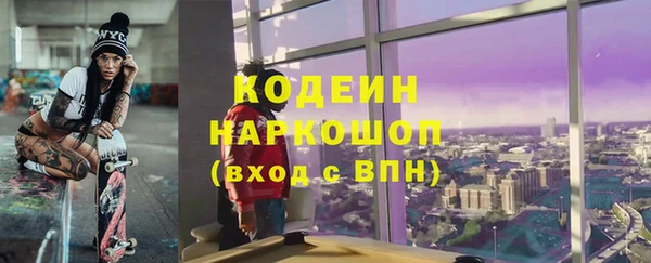 дурь Инсар