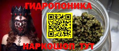 крисы Лесосибирск