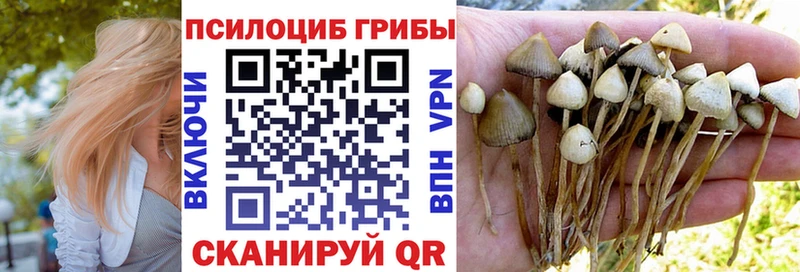 Галлюциногенные грибы GOLDEN TEACHER  Кимовск 