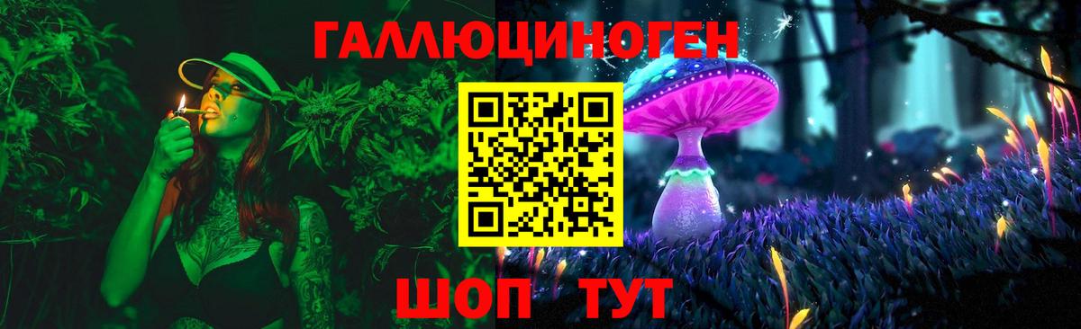 Галлюциногенные грибы Psilocybe Кимовск